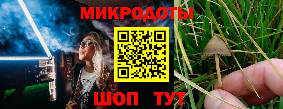 Псилоцибиновые грибы прущие грибы Кувандык
